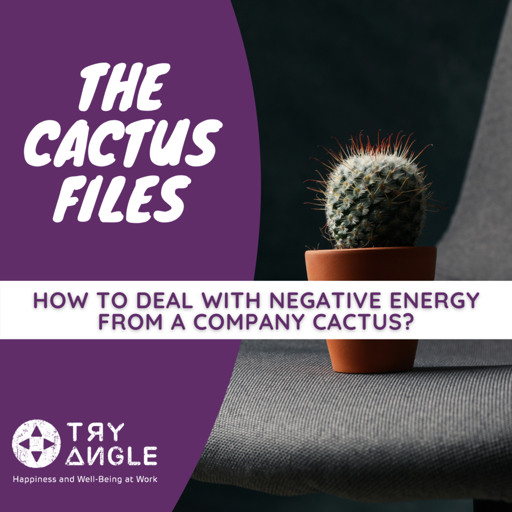 How to deal with negative energy from a company cactus